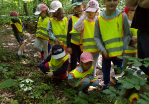 Dzieci zwiedzają Las Łagiewnicki